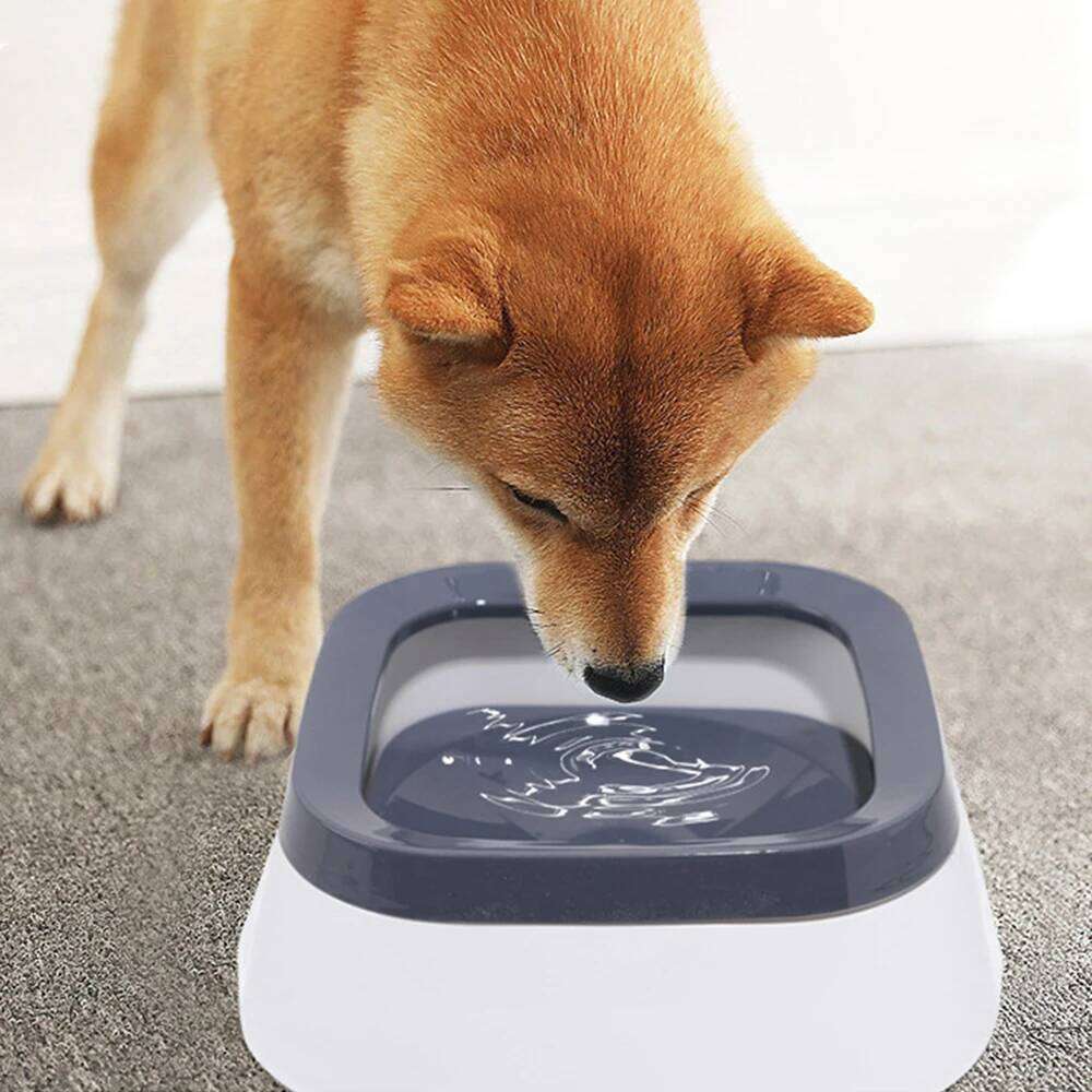 Outdoor Pet Floating Basin, Car Mounted Bowl, Splash Spill Proof Water Dispenser For Dogs And Cats 26Y0312