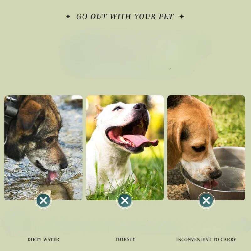 Feeders Folding Silicone Outdoor Travel Foldable Portable Cat Dog Food Water Container Feeding Tray Bowl Pet Supplies 26Y0312