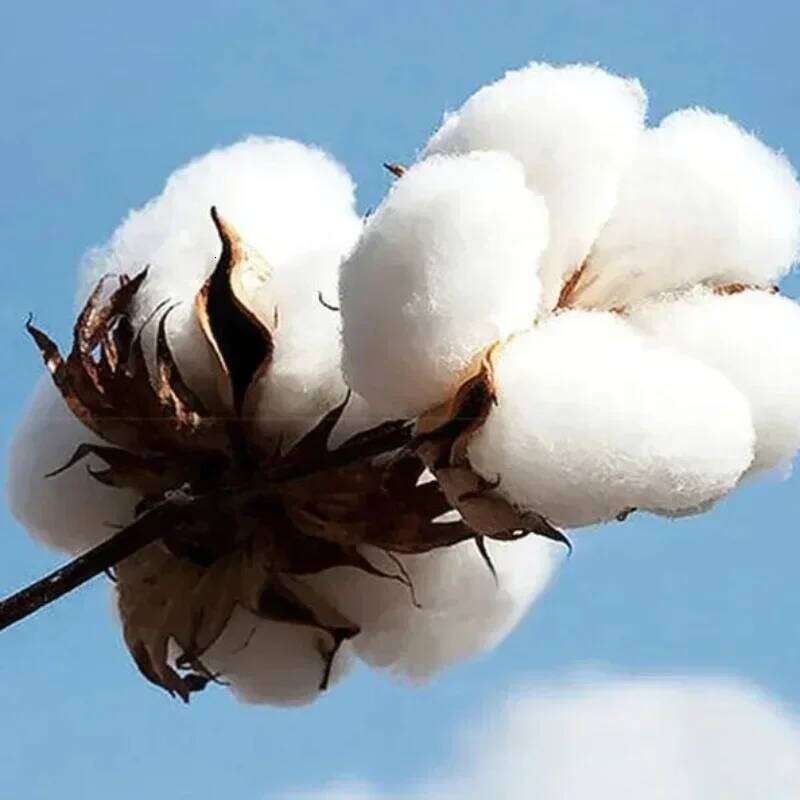 Rapper C.R.O Men's Retro Fashion Hip-hop Sweatshirt High-quality Casual Hoodie Streetwear Z260314