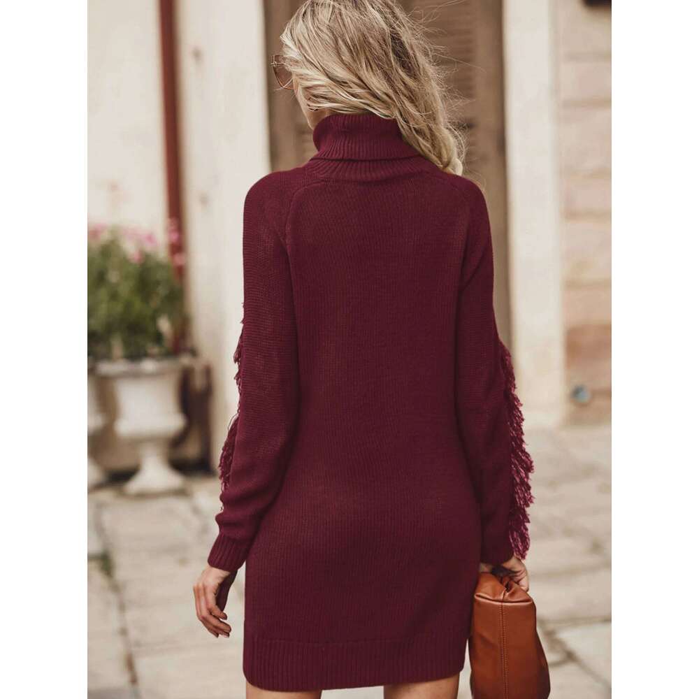 Thickened Warm Women's Autumn Winter Fashion Elegant High Collar Long Sleeve Knitted Dress Solid Color Pullover Z260313
