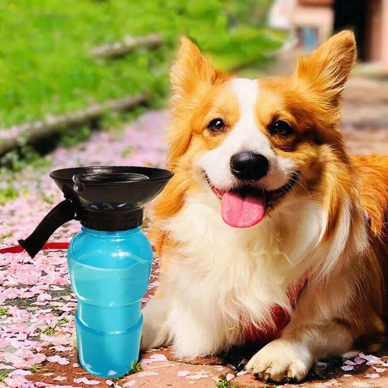 DJH Out Walking Portable Bottle Dog Drinking Cup Cat Pet Water Feeding Supplies 26W0313