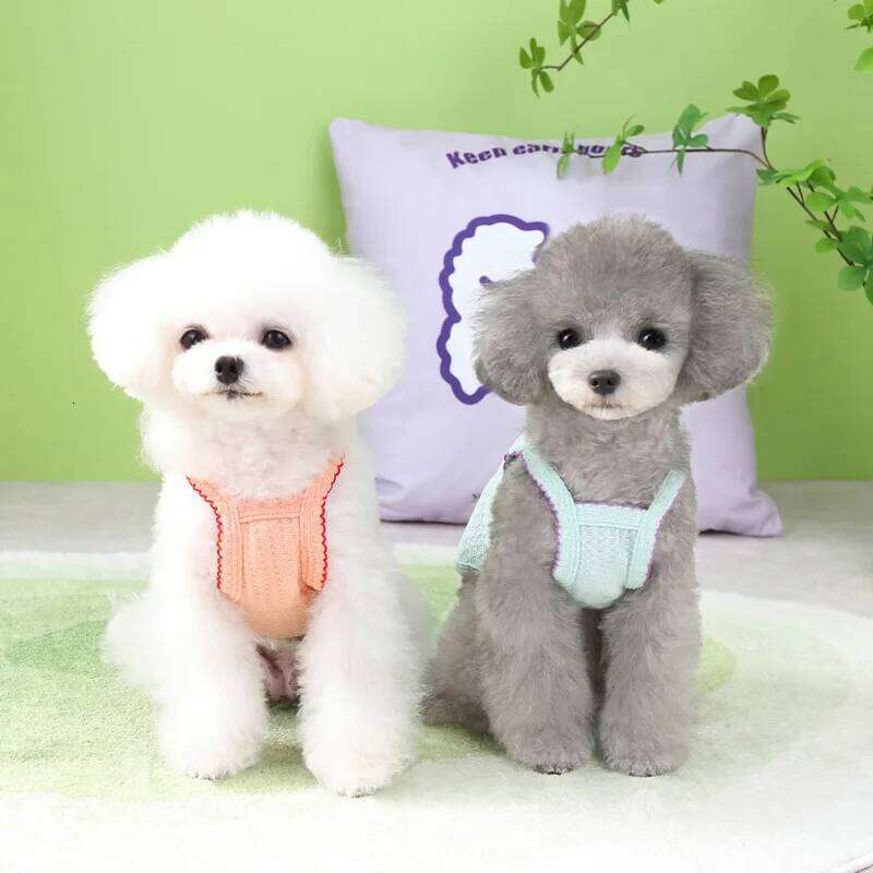 Famous brand PC Summer Thin Strap Bichon Bear Teddy Yorkshire Cat Small Dog Clothing Pet Supplies Soft And Breathable pupakaIK