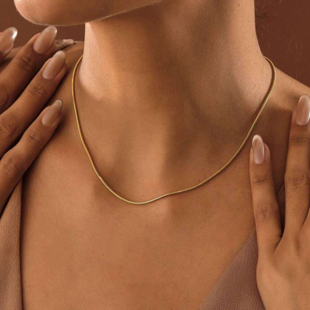 Skyrim Stainless Steel Gold Color Round Snake Chain Necklace Women Men Long Neck Chains Trendy Punk Jewelry Gift Wholesale H260312