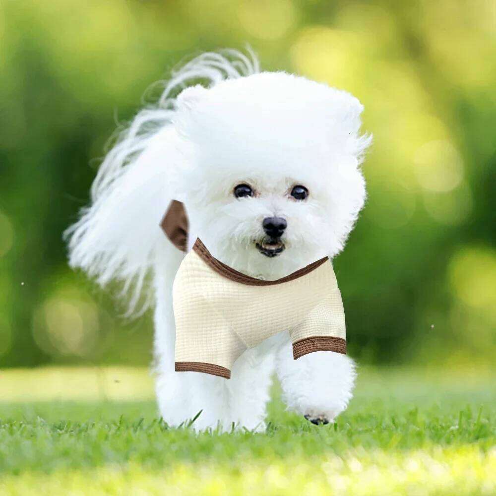 Skirt Sweet Cute Small Fresh Thin Princess Floral Dress Wedding Dresses Spring Summer Pet Dog Clothes Bamubi