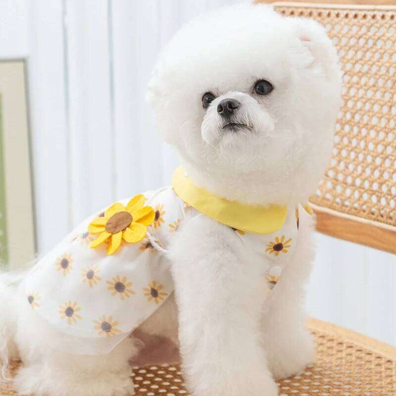 Princess Cute Mesh Kitten Puppy Pet Skirt Summer Dress Bow Lace Korean Poodle Chihuahua Dog Clothes Bamubi