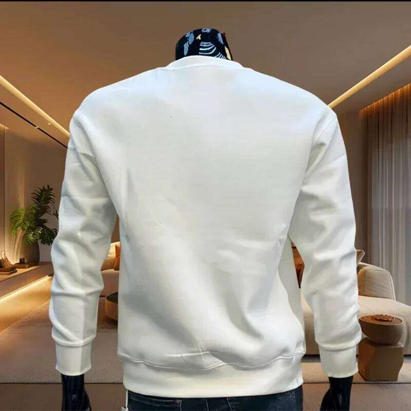 2024 Men's Trendy Hoodie Cotton Loose Sweatshirt High Street Harajuku Long Sleeve T-shirt Fashionable Men Clothing Z260314