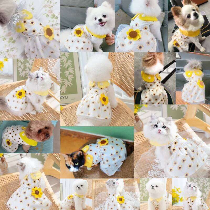 Princess Cute Mesh Kitten Puppy Pet Skirt Summer Dress Bow Lace Korean Poodle Chihuahua Dog Clothes Bamubi
