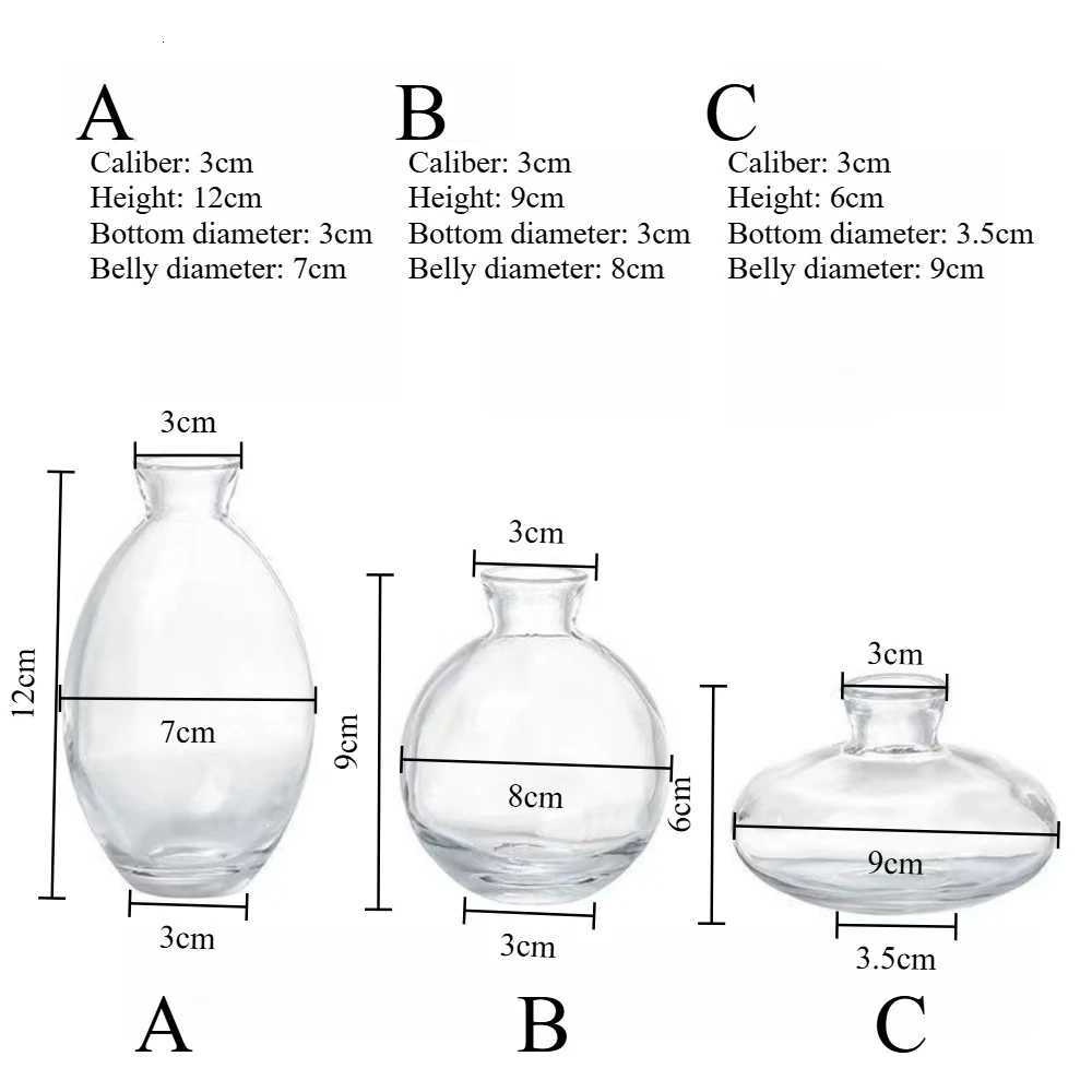 Nordic Transparent Glass Vase Avocado Seed Starters Vase Minimalist Small Plant Pots Gift for Gardening Lovers Home Decor Y260314