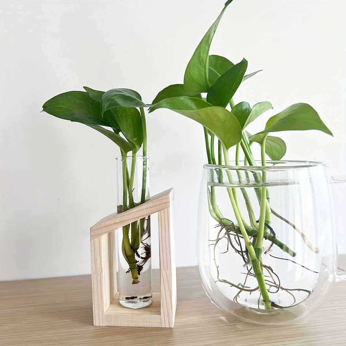 1pc-Minimalist Nordic Home Test Tube Glass Vase Creative Desk Hydroponic Plants Wooden Flower Utensils Decoration Y260314