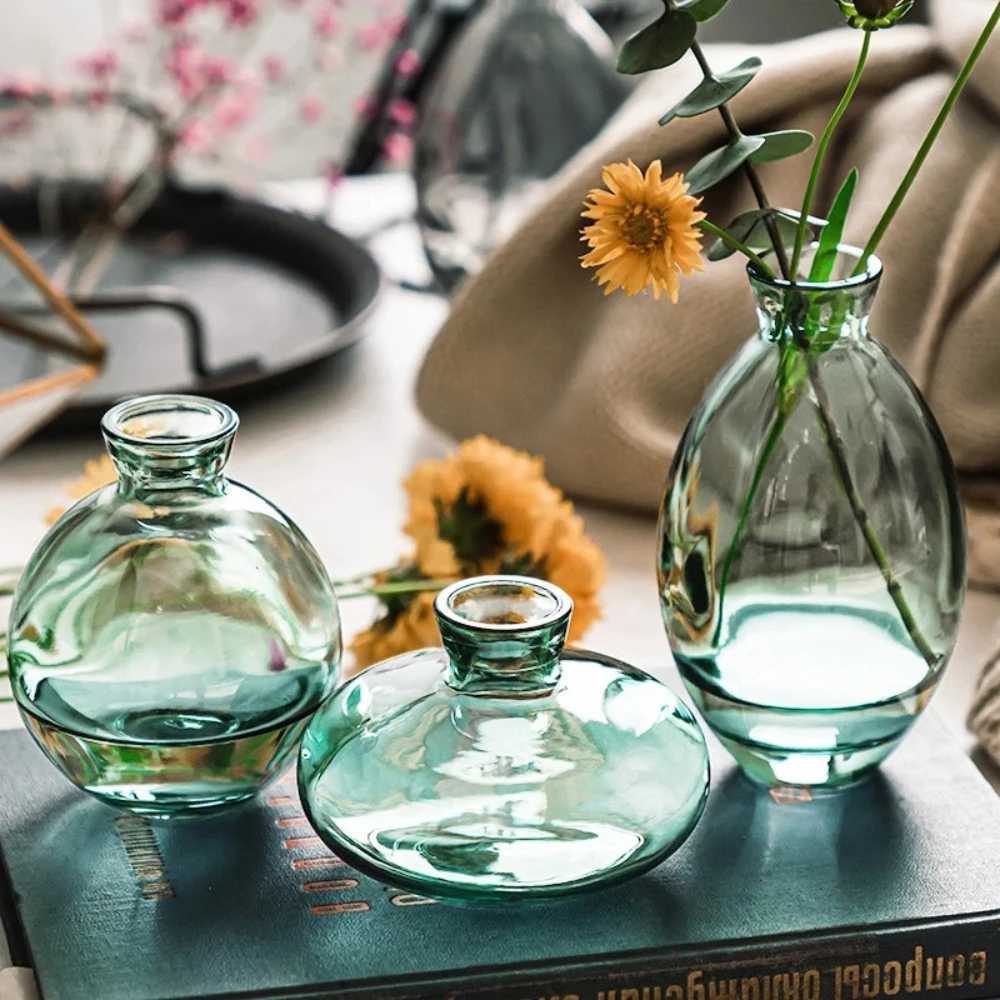 Nordic Transparent Glass Vase Avocado Seed Starters Vase Minimalist Small Plant Pots Gift for Gardening Lovers Home Decor Y260314