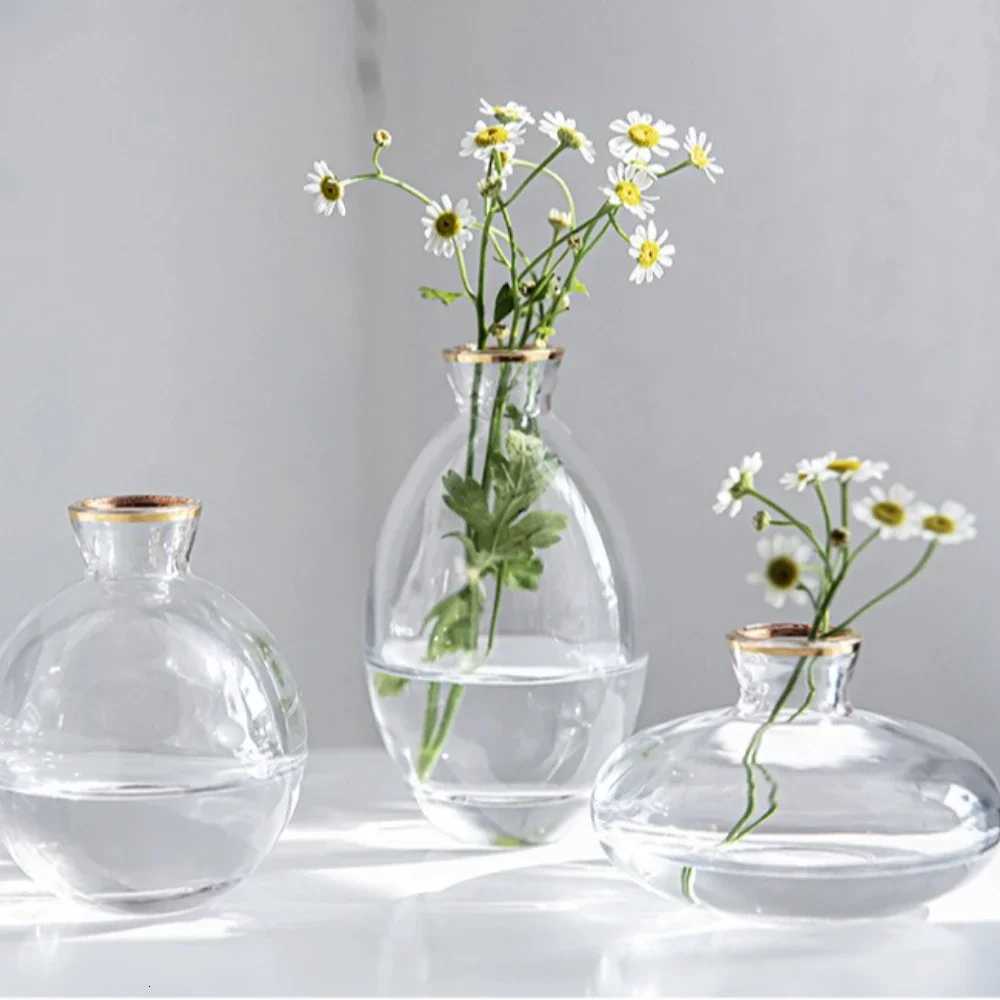 Nordic Transparent Glass Vase Avocado Seed Starters Vase Minimalist Small Plant Pots Gift for Gardening Lovers Home Decor Y260314