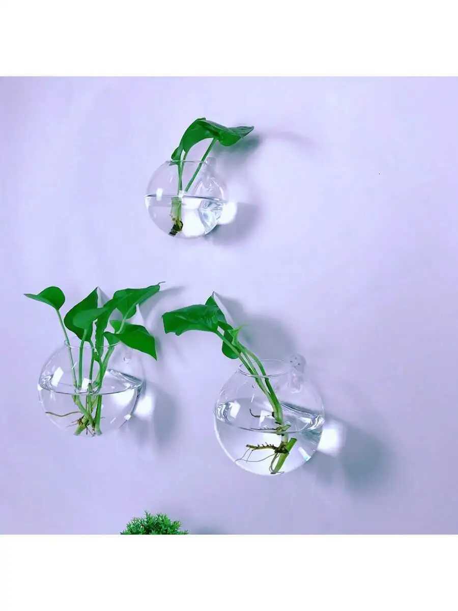 2/4/6 Pack Wall Hanging Glass Terrarium - Self-Watering Hydroponic Planter for Home Office Decor Handmade Round Crystal Vase Y260314