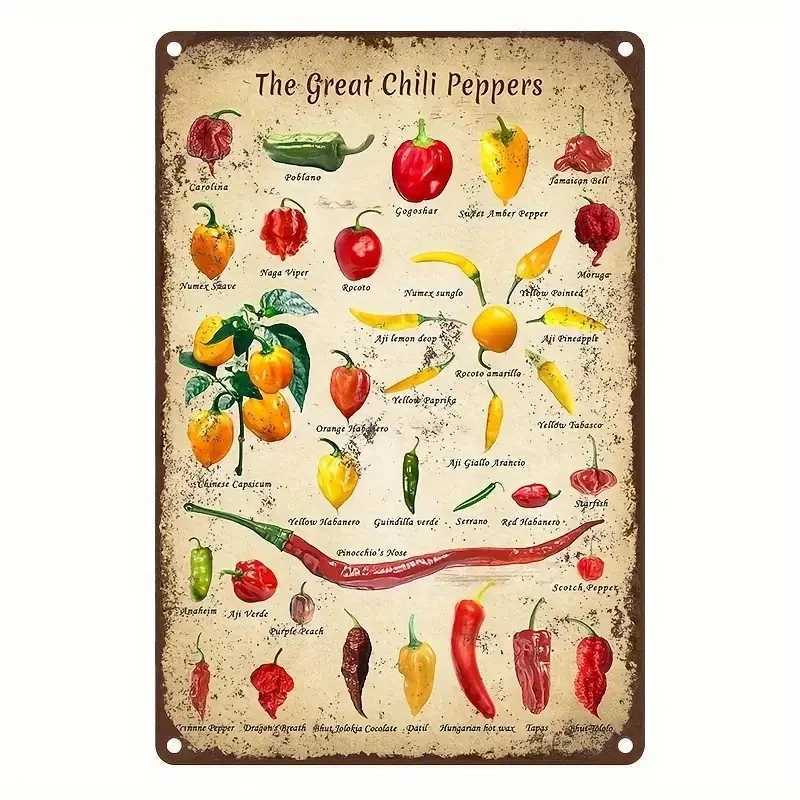Vintage Metal Tin Sign - The Great Chili Peppers Culinary Chart Spice LoverS Wall Art ChefS Kitchen Decor No Electricity D260314