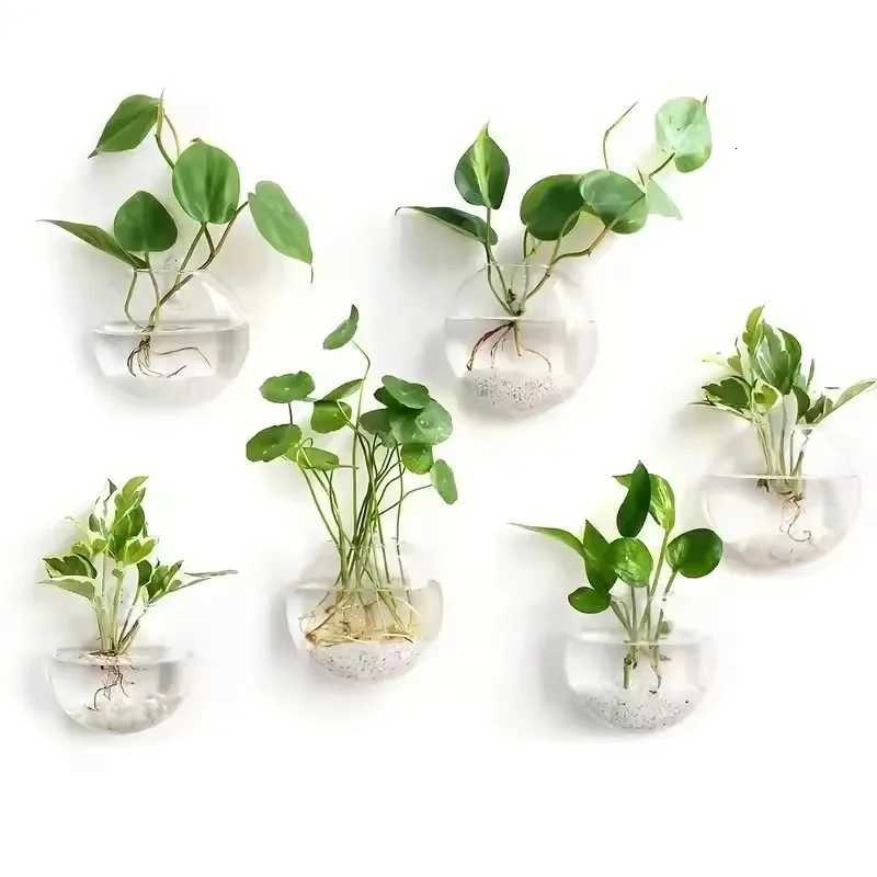 2/4/6 Pack Wall Hanging Glass Terrarium - Self-Watering Hydroponic Planter for Home Office Decor Handmade Round Crystal Vase Y260314
