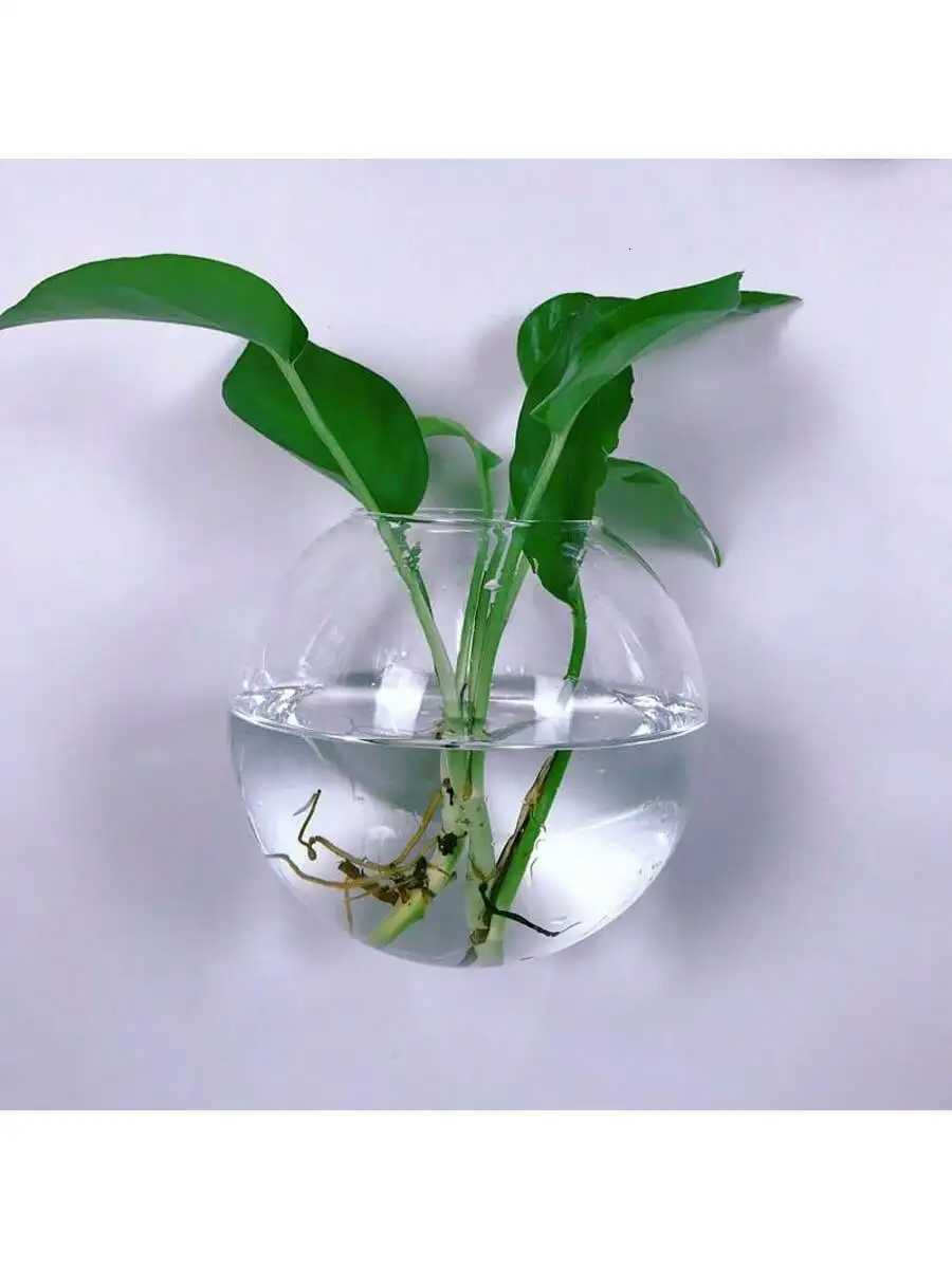 2/4/6 Pack Wall Hanging Glass Terrarium - Self-Watering Hydroponic Planter for Home Office Decor Handmade Round Crystal Vase Y260314