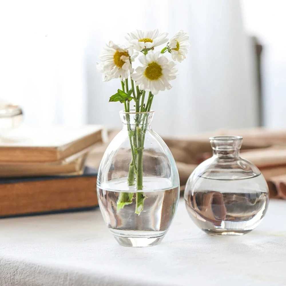 Nordic Transparent Glass Vase Avocado Seed Starters Vase Minimalist Small Plant Pots Gift for Gardening Lovers Home Decor Y260314