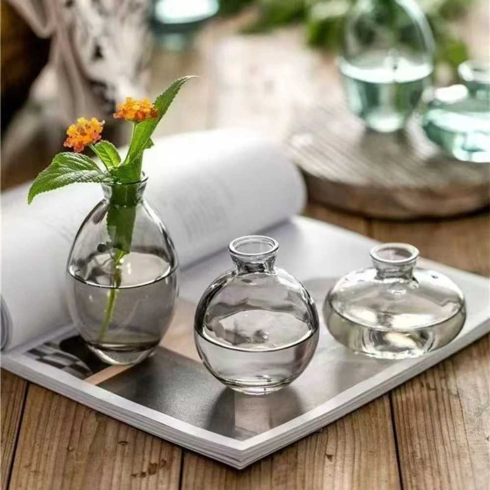 Nordic Transparent Glass Vase Avocado Seed Starters Vase Minimalist Small Plant Pots Gift for Gardening Lovers Home Decor Y260314