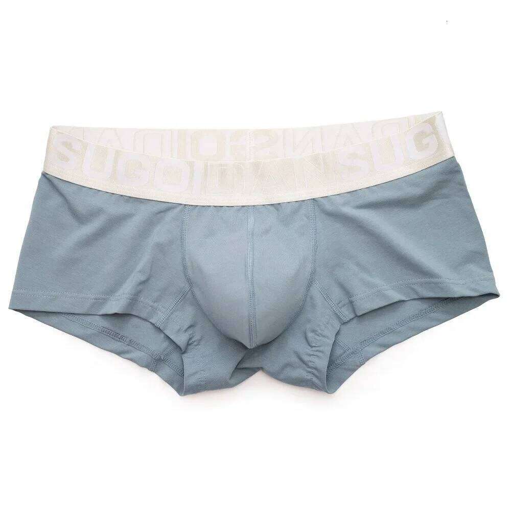 Men's Boxy Underwear Cotton Breathable Sweat Absorption Boxer Shorts Youth Sexy Low-rise U Convex Pouch Trunks Sports Underpants Z260314