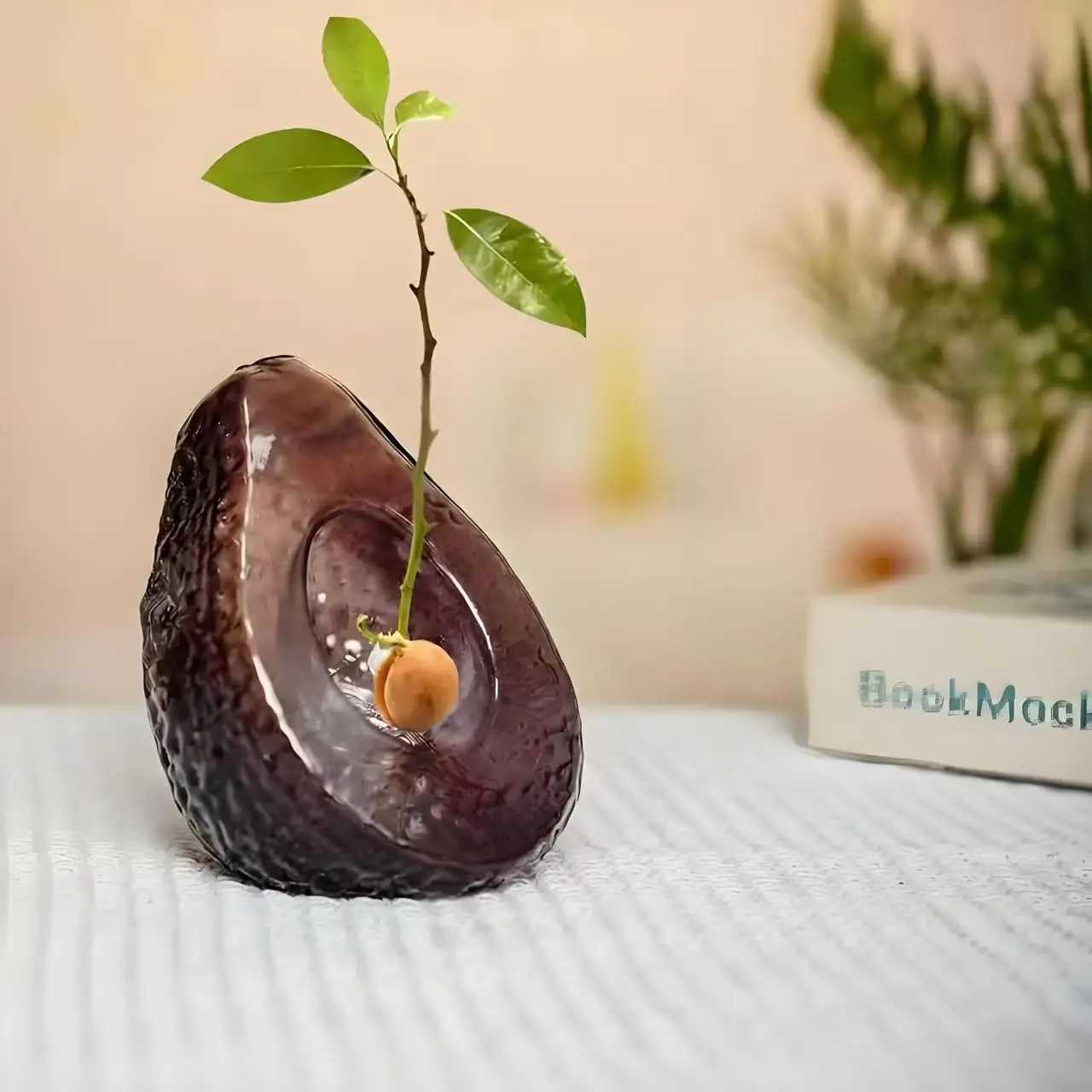 Avocado Seed Starter Vase Transparent Glass Vase For Growing Plant Glass Seed Growing Kit For Gardening Lovers Y260314