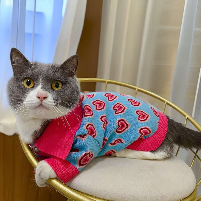 2026 Autumn Winter New Pet Warm Sweater Love Lapel Cardigan For Small Medium Dogs Cats French Bulldog Pomeranian Fashion Brand Clothes pupakaIK