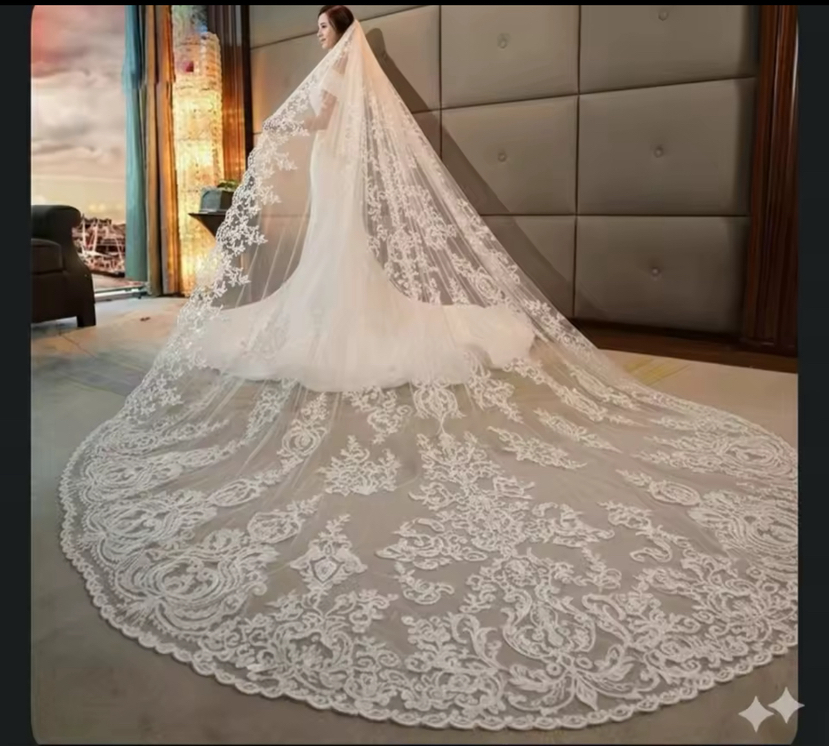 500cm Long Bridal Veil White Pearl Wedding Veils For Evening Dinner Party Dress Women Girl Gift Hair Accessories Brides Jewelry