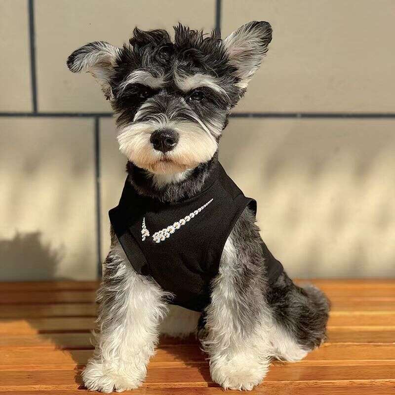 Famous brand Dog Clothes Spring Summer Sun Protection Mesh Vest Cat Teddy Bichon Pomeranian Giant Poodle Schnauzer Puppy Short Sleeve pupakaIK