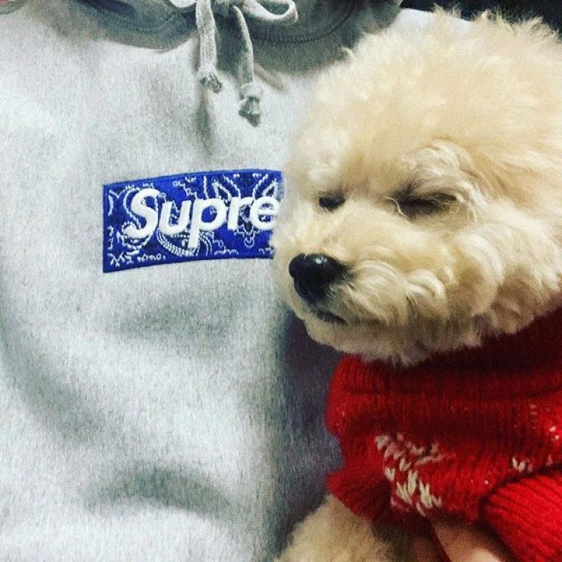 designer Hoodies Classics Red Letter S Printed Fashionable Sportswear Hip Hop Loose Casual Men's Hooded Sweatshirt Collaboration Y3aQ#