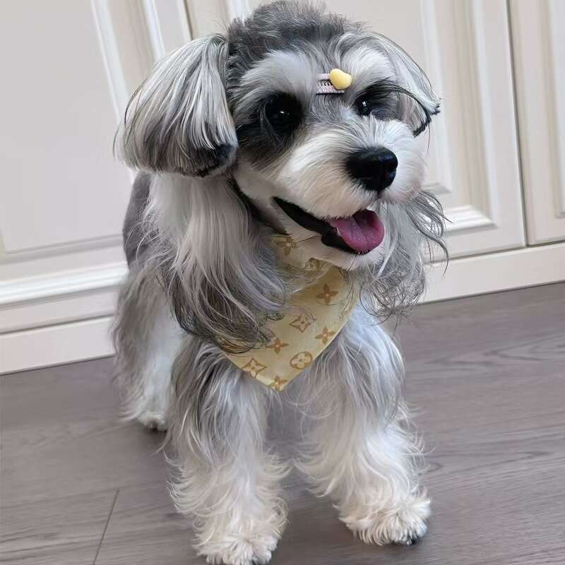 Famous brand Dog Pet Trendy Brand Drool Towel Large Medium Small Dogs Triangle Scarf Neck Gaiter Giant Poodle Bichon Teddy Corgi Schnauzer pupakaIK