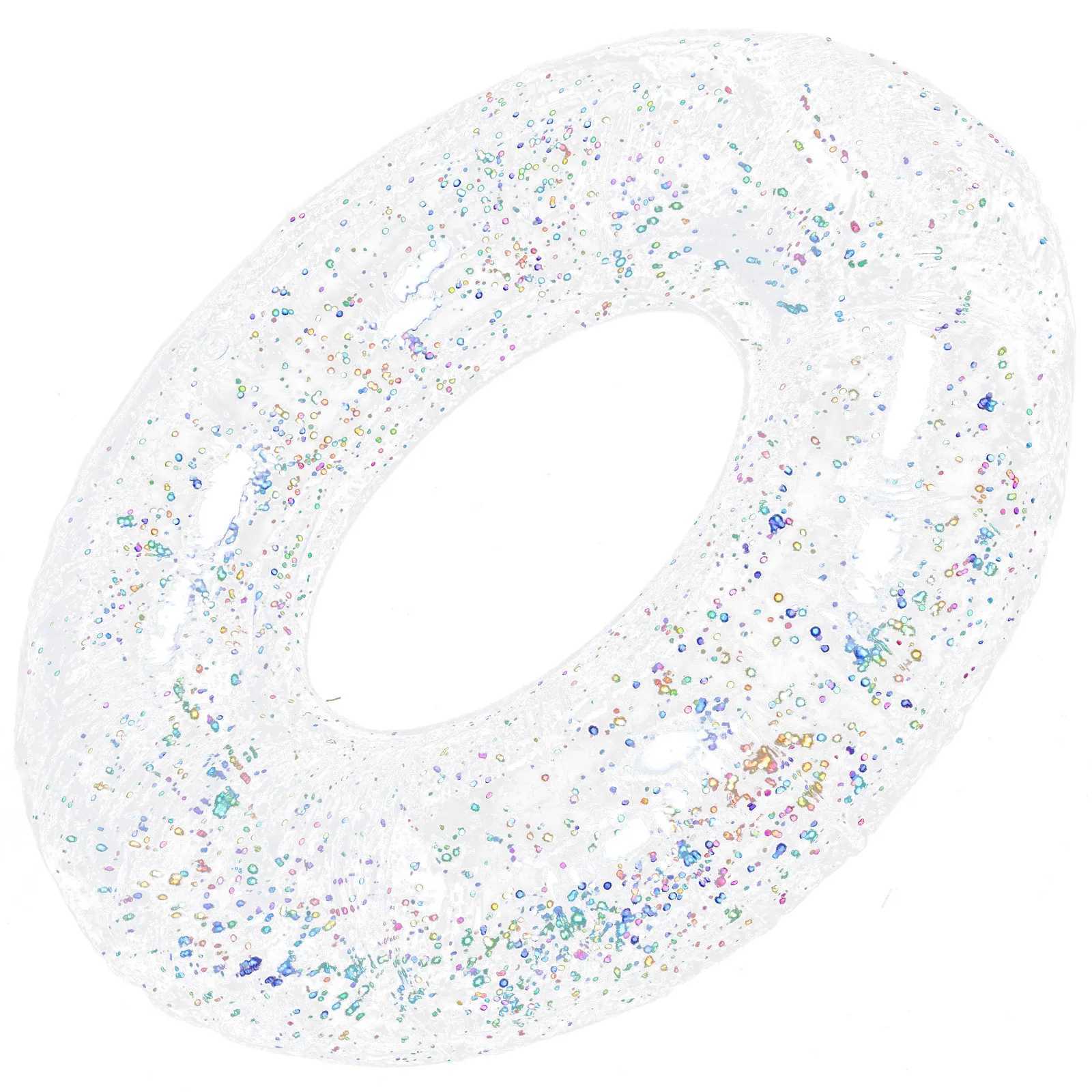 Transparent Glitter Inflatable Swimming Ring Pool Float Ring for Adults Summer Beach Vacation Fun Leisure Floating Swim M260316