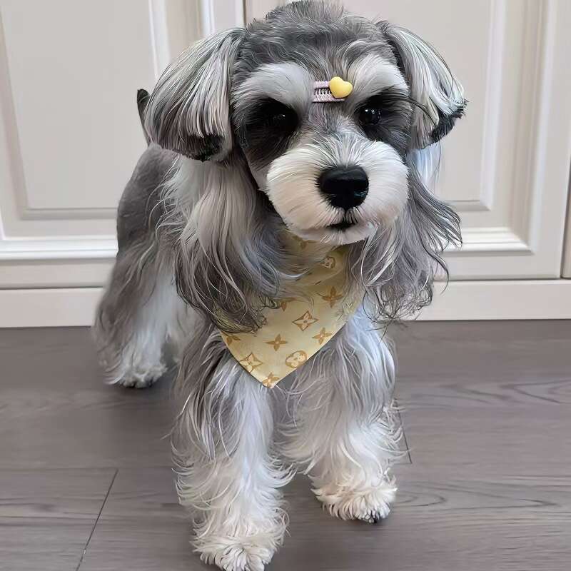 Famous brand Dog Pet Trendy Brand Drool Towel Large Medium Small Dogs Triangle Scarf Neck Gaiter Giant Poodle Bichon Teddy Corgi Schnauzer pupakaIK