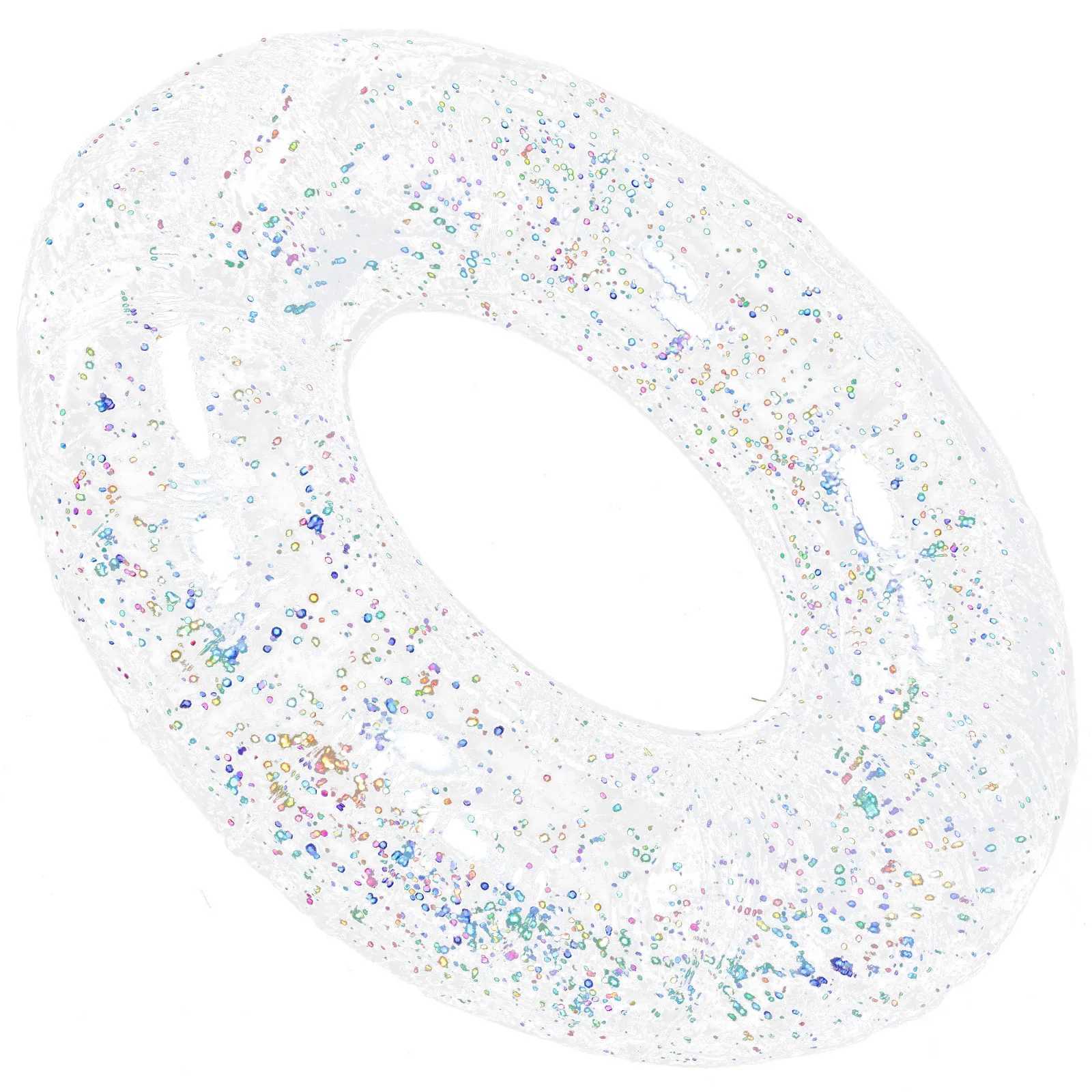 Glitter Sequins Transparent Swimming Ring Inflatable Float Tube for Adults Pool Beach Summer Leisure Easy M260316