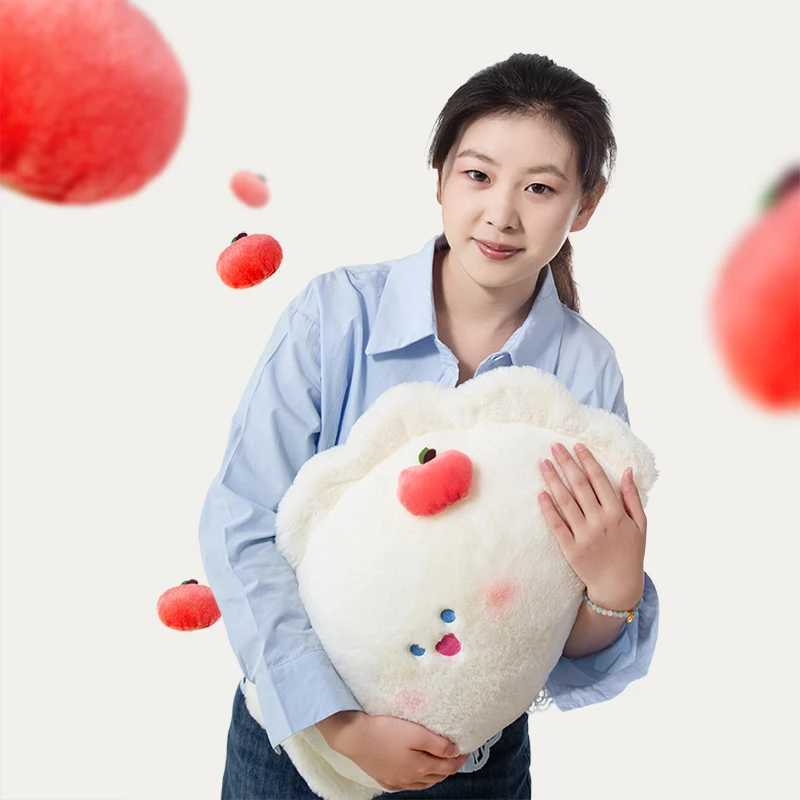 Adult Cute Dumpling Pillow Sofa Cushion Living Room Bedroom Bedside Bay Window Fun Food Creative Pillow D260317