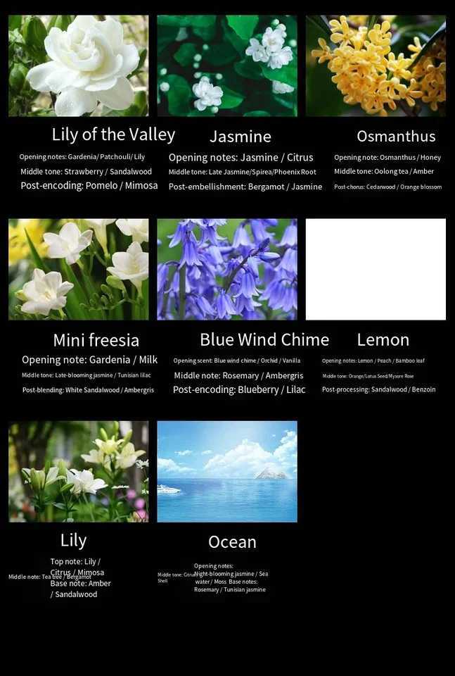 50ML Diffuser Oil Flameless Home Fragrance Oil Air Freshener Scent Air Car Odor Sticks Aromatherapy Diffuser Office Decor D260317