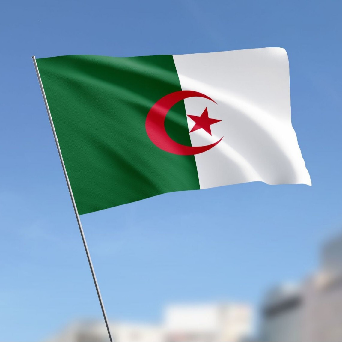 Algeria Flag 3X5FT 2026 World Cup Flag Fan Flag National Flags - view 3