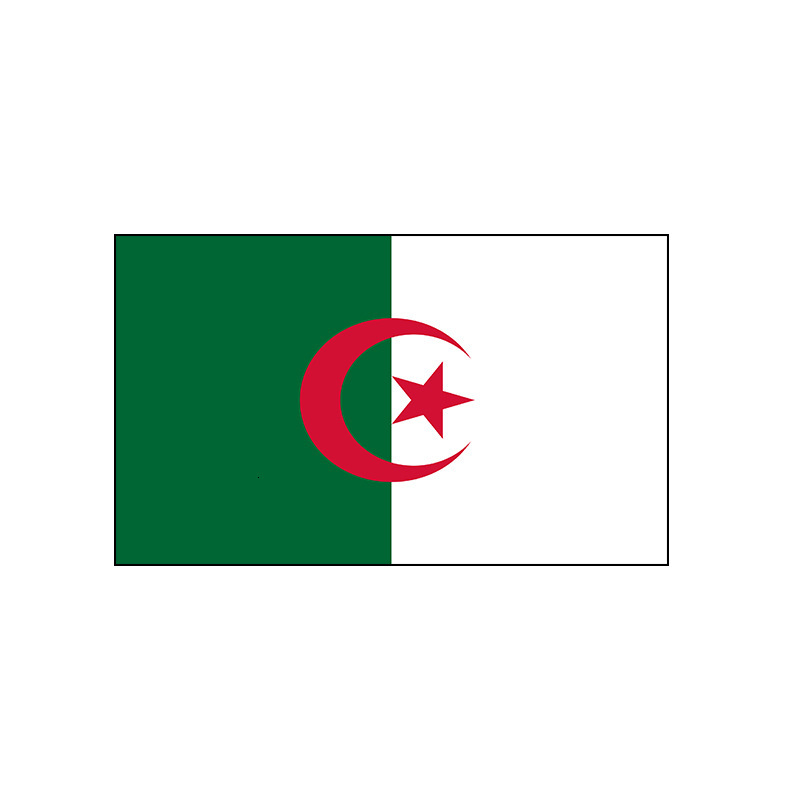 Algeria Flag 3X5FT 2026 World Cup Flag Fan Flag National Flags - view 6