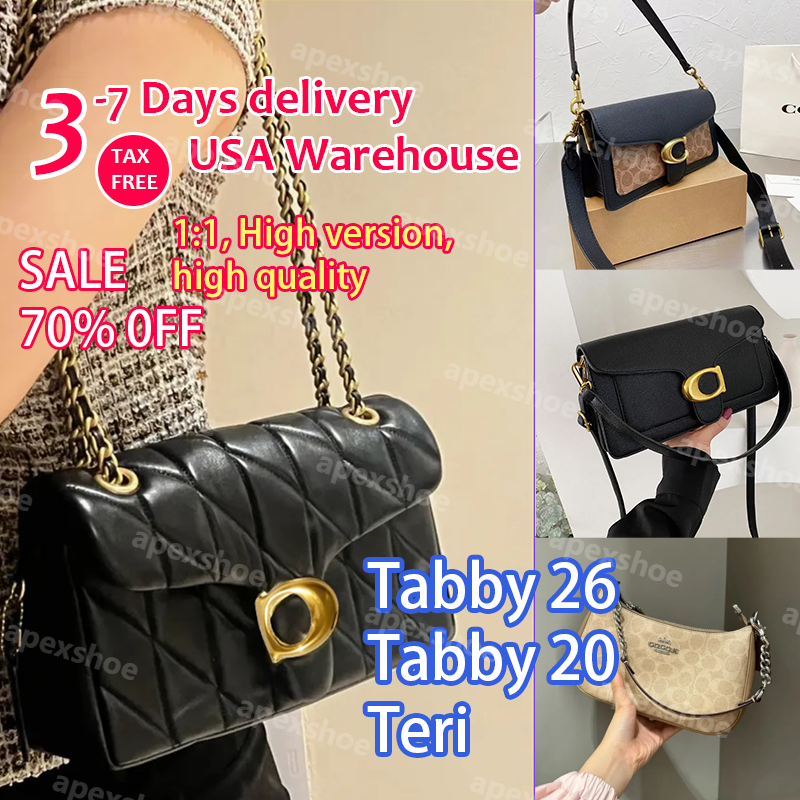 12A tabby bag tabby 26 tabby 20 luxury bag teri shoulder bag crossbody designer bags for women luxury card holder interwoven Chain and Leather Strap shoulder bag