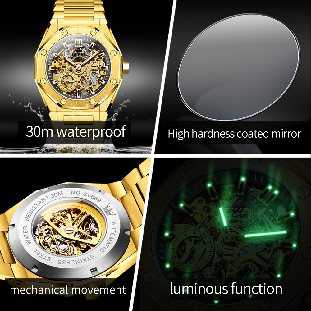 Watch Manufacturer One Piece Dropshipping Brand New Luminous Waterproof Fully Automatic Mechanical Men's Watch Watches Men Designer Fashion Trend