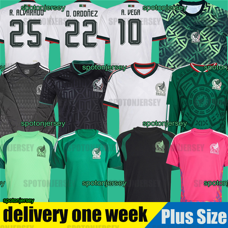 Green Mexico 2026 world Cup Concept Kit Goalkeeper RAUL LOZANO long sleeve fans player kits Mexiko kids shirt peacock chicharito MEXICAN Maillot de football mexique