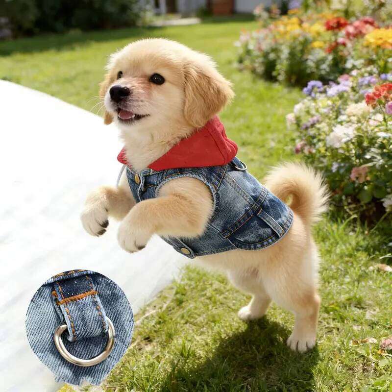 Famous brand Cool Jean Jacket Vest with D Ring Hoodies Small Medium Dogs Spring Dog Clothes Puppy Denim Harness Coat for Walking pupakaIK