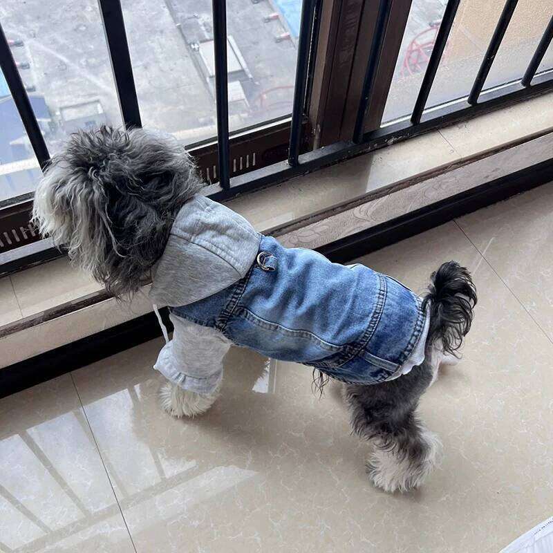 Famous brand Cool Jean Jacket Vest with D Ring Hoodies Small Medium Dogs Spring Dog Clothes Puppy Denim Harness Coat for Walking pupakaIK