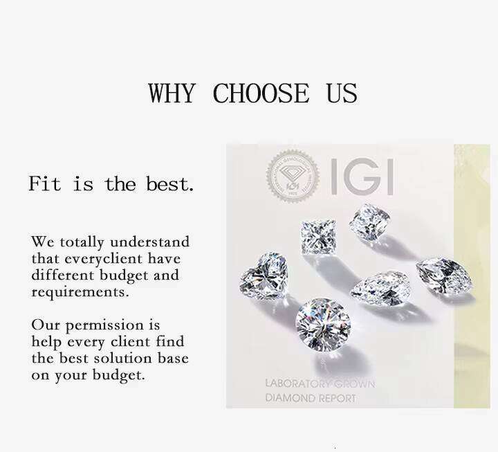 Grown CVD Lab Diamond 1Ct 2Ct Round Marquise Heart Oval Emerald Pear Cut 14K 18K White Gold Stud Earrings