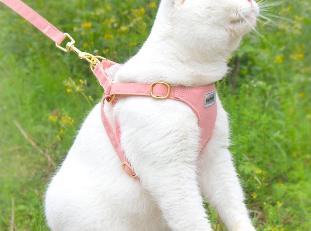 Soft Genuine Leather Dog Harness Leash Set Small Medium Dogs Cats Harness Vest For Chihuahua French Bulldog Walking Training 240819