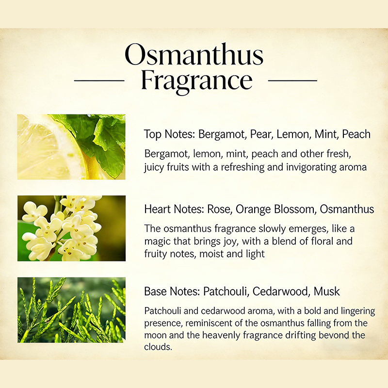 Timeless Elegance Classic Eau de Toilette 3.4fl.oz Warm Amber Scent for Daily Wear