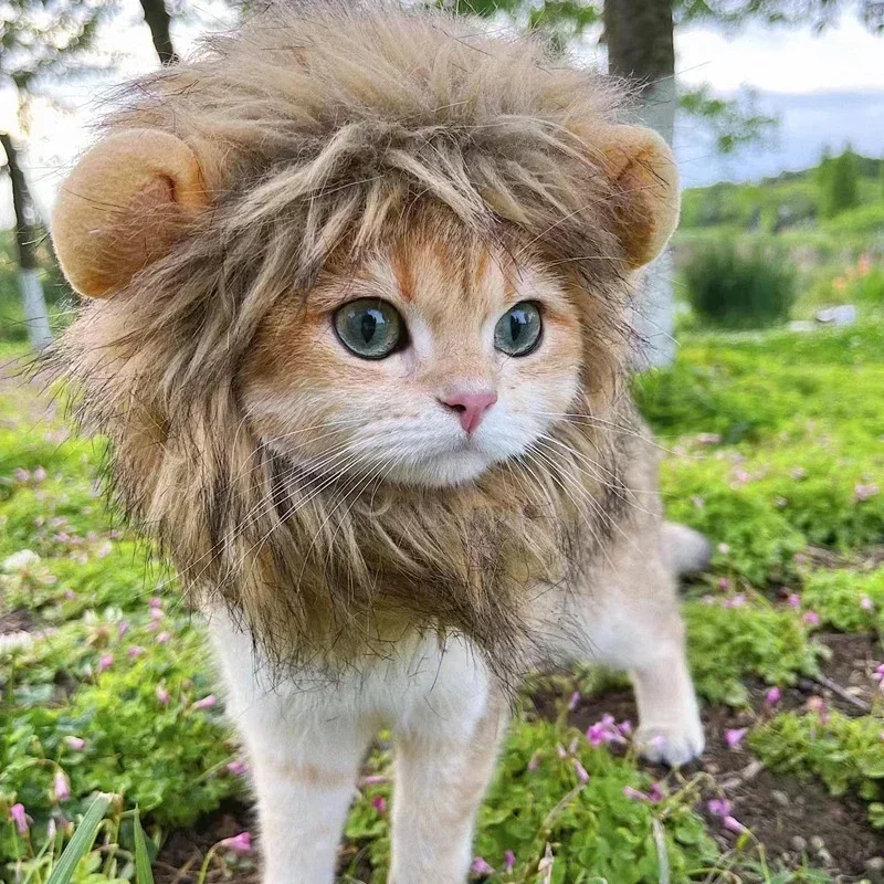 Pet Lion Mane Wig Hat for Cat Puppy, Halloween Christmas Cosplay Costume Dress Up, Funny Party Decoration Pet Supplies Gatos