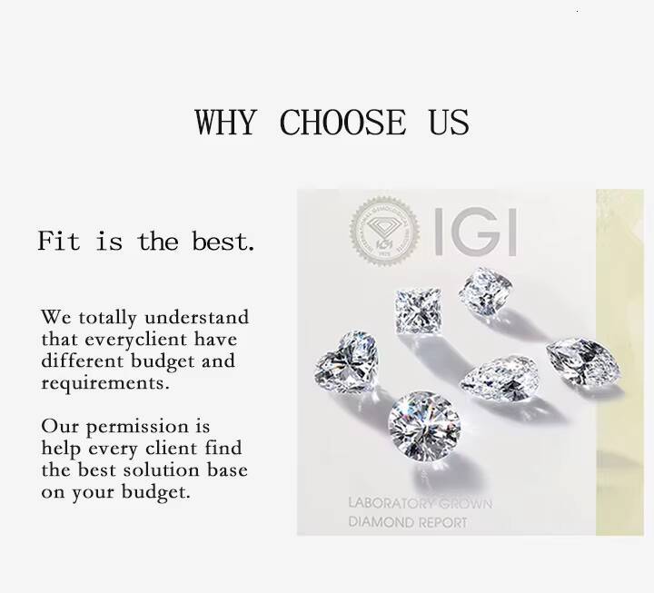 Lab Grown Diamond CVD Stud Earrings 1CT 2CT Round Marquise Heart Oval Emerald Pear Cut 14K 18K White Gold Stud Earrings
