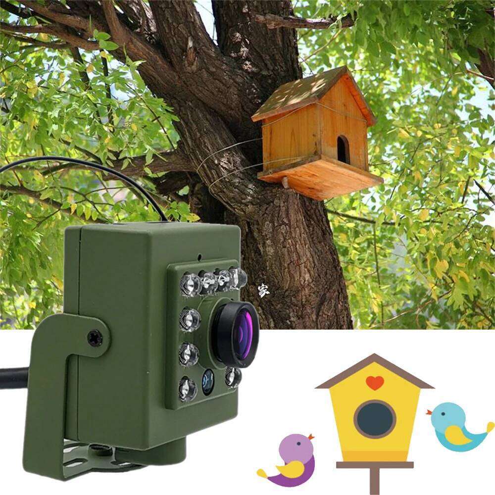 Famous brand Green Wifi Box Camera Audio P IR CUT Night Vision RTSP FTP Mini IP IPC Pet Nest Bird Watching mm lens Camhi pupakaIK