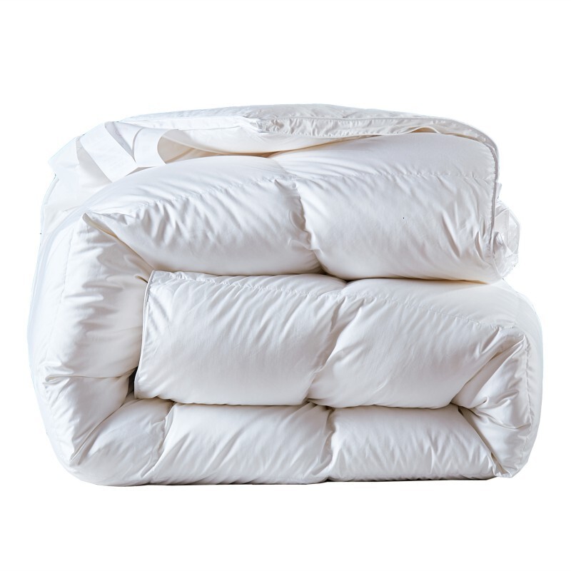 Cotton Core Whole Sheet Feather Velvet Hotel Homestay Air Conditioning Four Seasons Winter Thickened Warm Quilt
