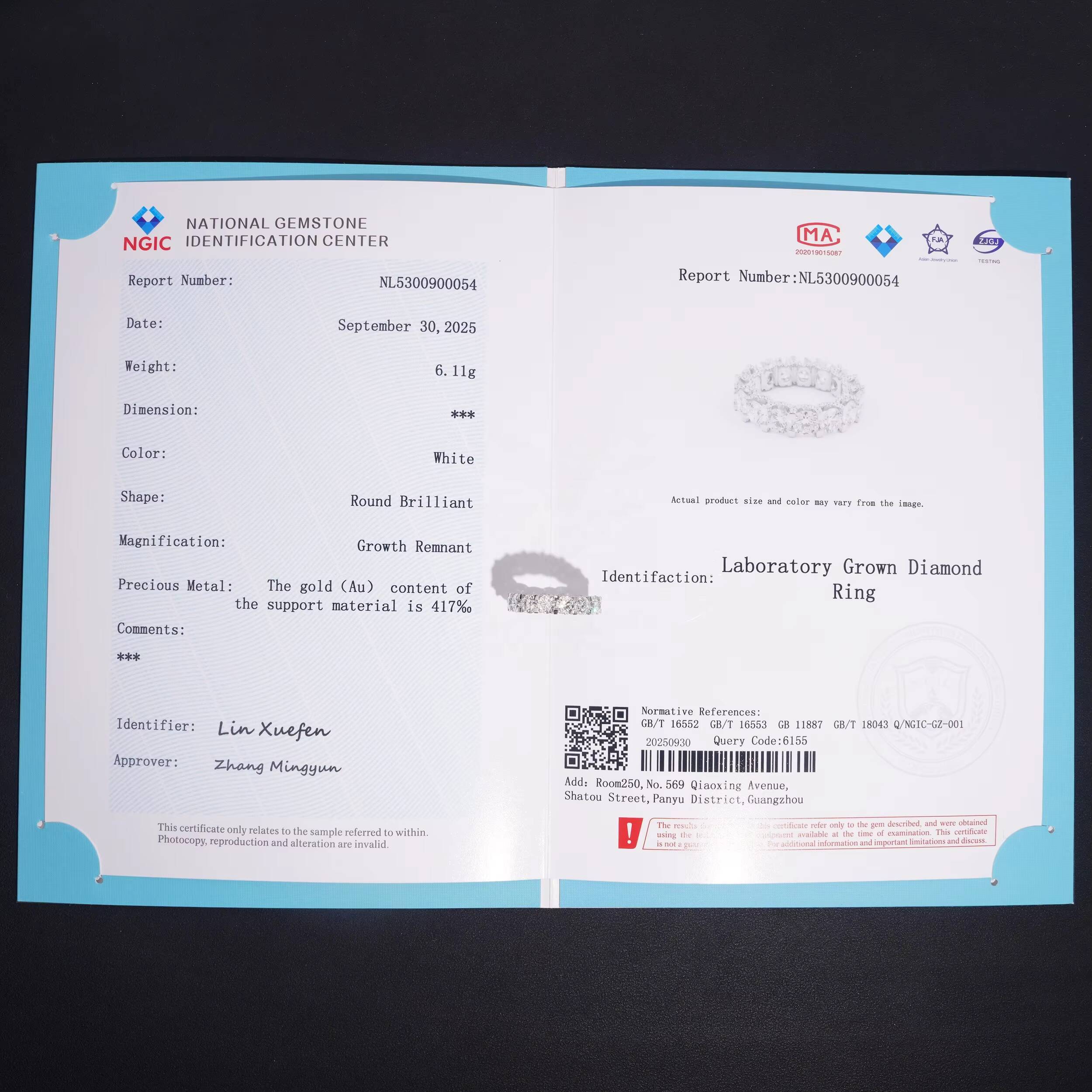 10K White Gold VVS D Color IGI Certificated 50 PoINTER RoundCut Diamond CVD Lab Diamond Ring Band