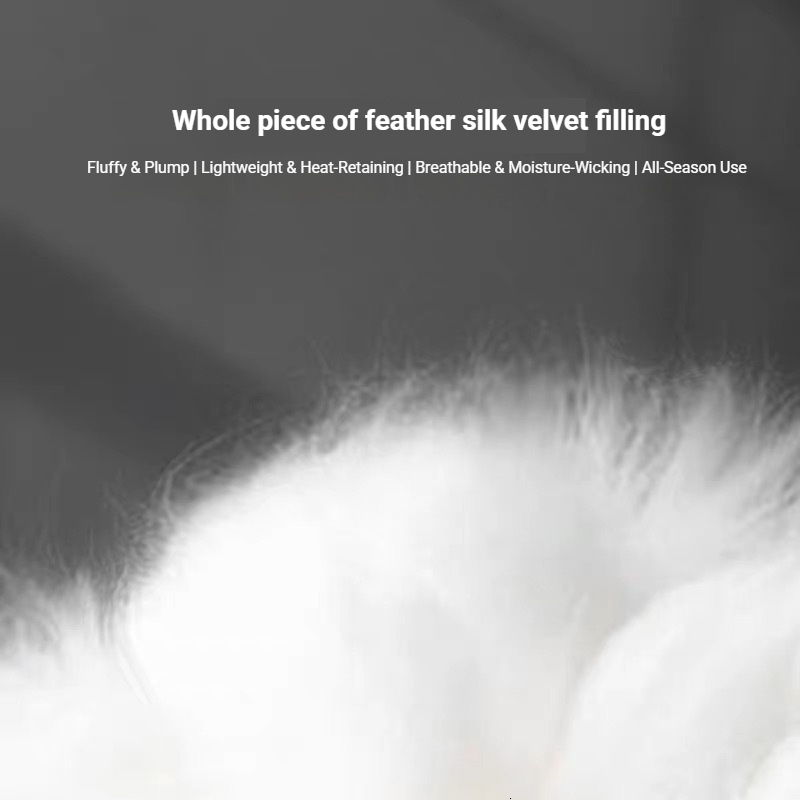 Cotton Core Whole Sheet Feather Velvet Hotel Homestay Air Conditioning Four Seasons Winter Thickened Warm Quilt