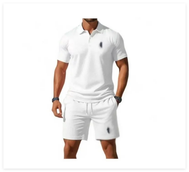 Men's Tracksuit Luxury Designer Set Casual Short Sleeve Embroidered small horse olid Color Polo Shirt+Shorts Streetwear 2 Piece suit